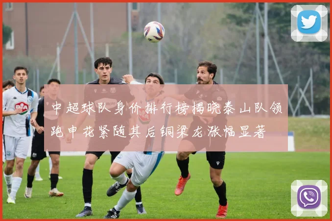 中超球队身价排行榜揭晓泰山队领跑申花紧随其后铜梁龙涨幅显著