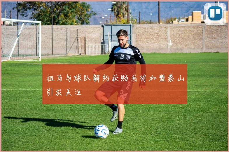 祖马与球队解约获赔或将加盟泰山引发关注