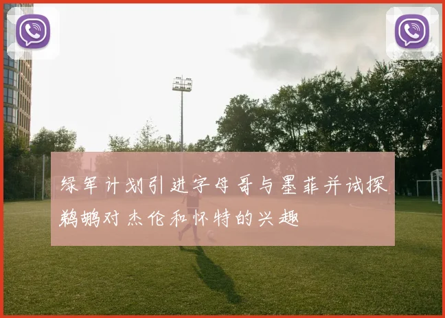 绿军计划引进字母哥与墨菲并试探鹈鹕对杰伦和怀特的兴趣