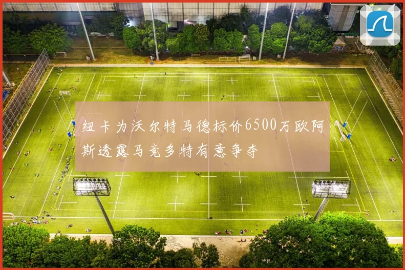 纽卡为沃尔特马德标价6500万欧阿斯透露马竞多特有意争夺